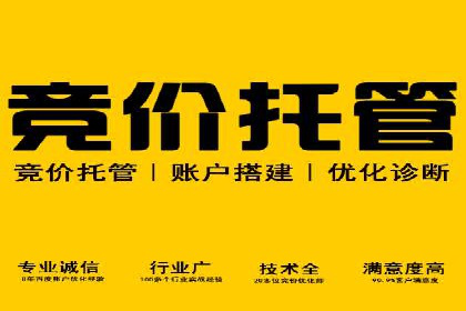 SEM托管服务，案例分享转化成果